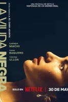 Игра вдовы (2025) смотреть онлайн бесплатно